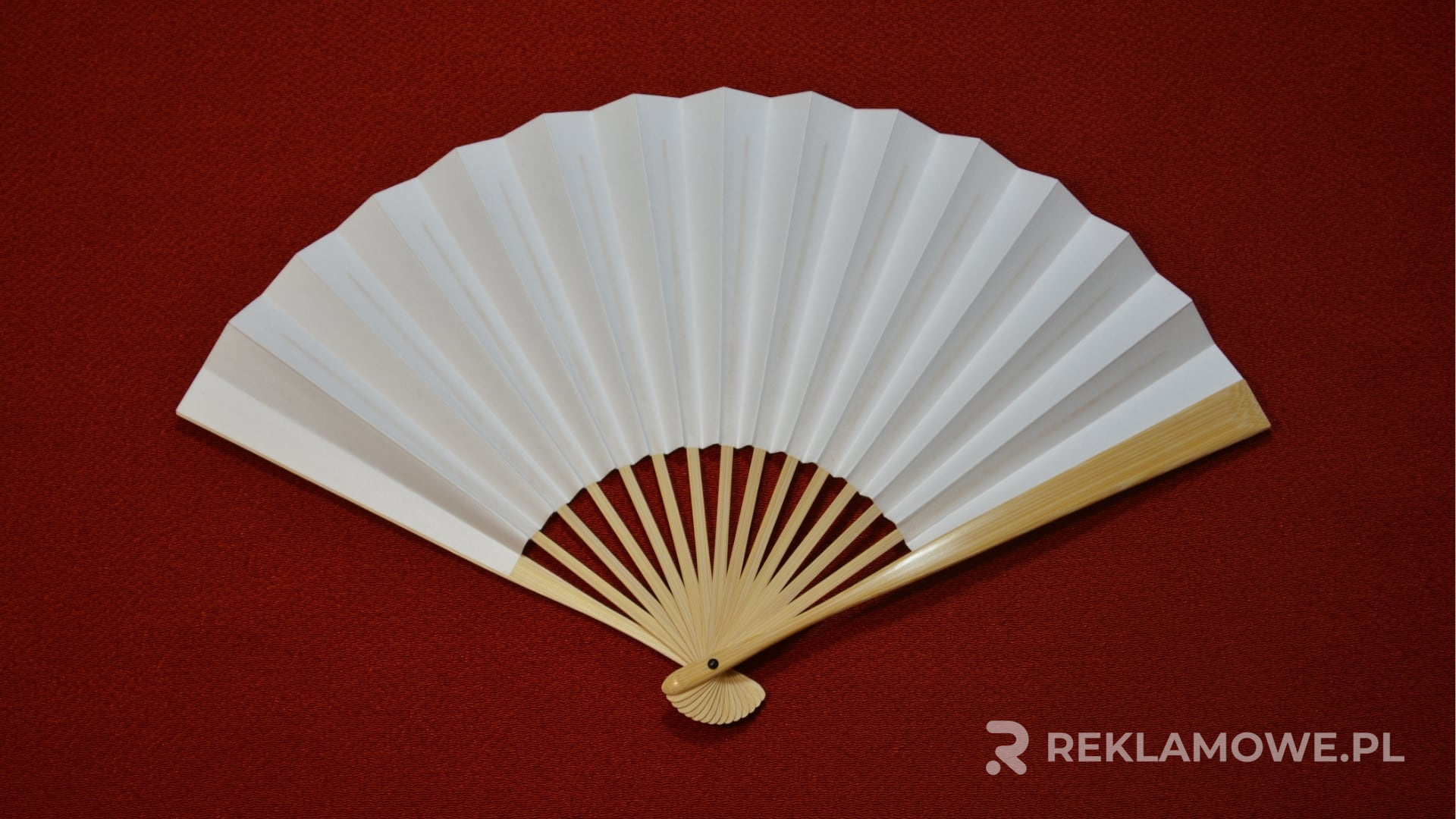 Kolorowe wachlarze reklamowe na tle